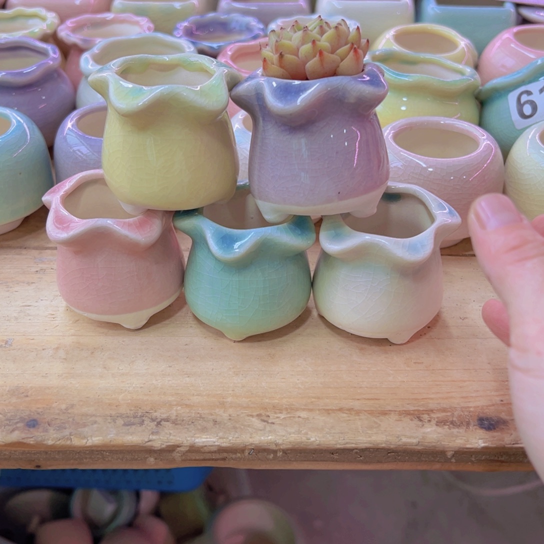 陶瓷花盆当场凑满12包邮