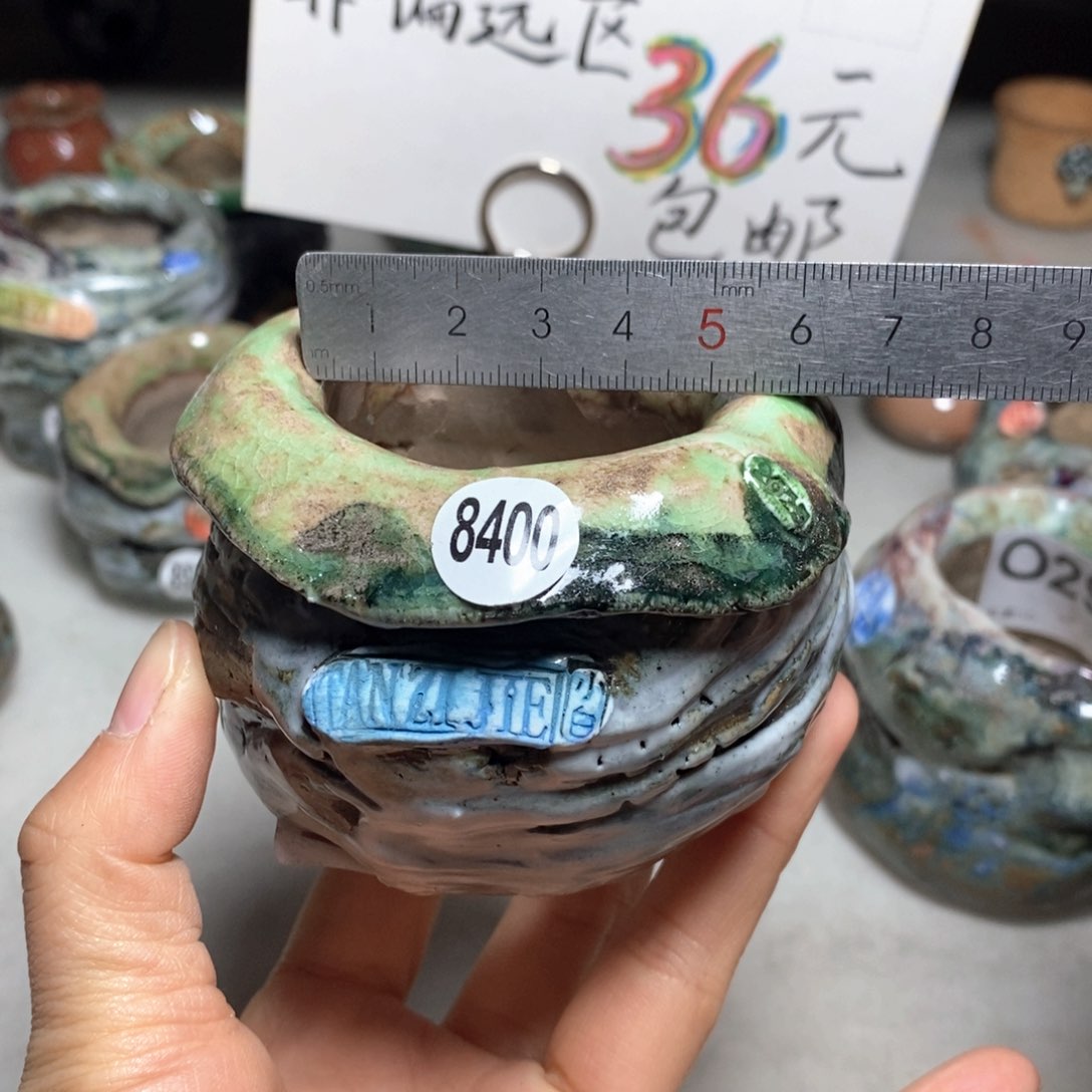 花盆双12特价活动不退不换原价88