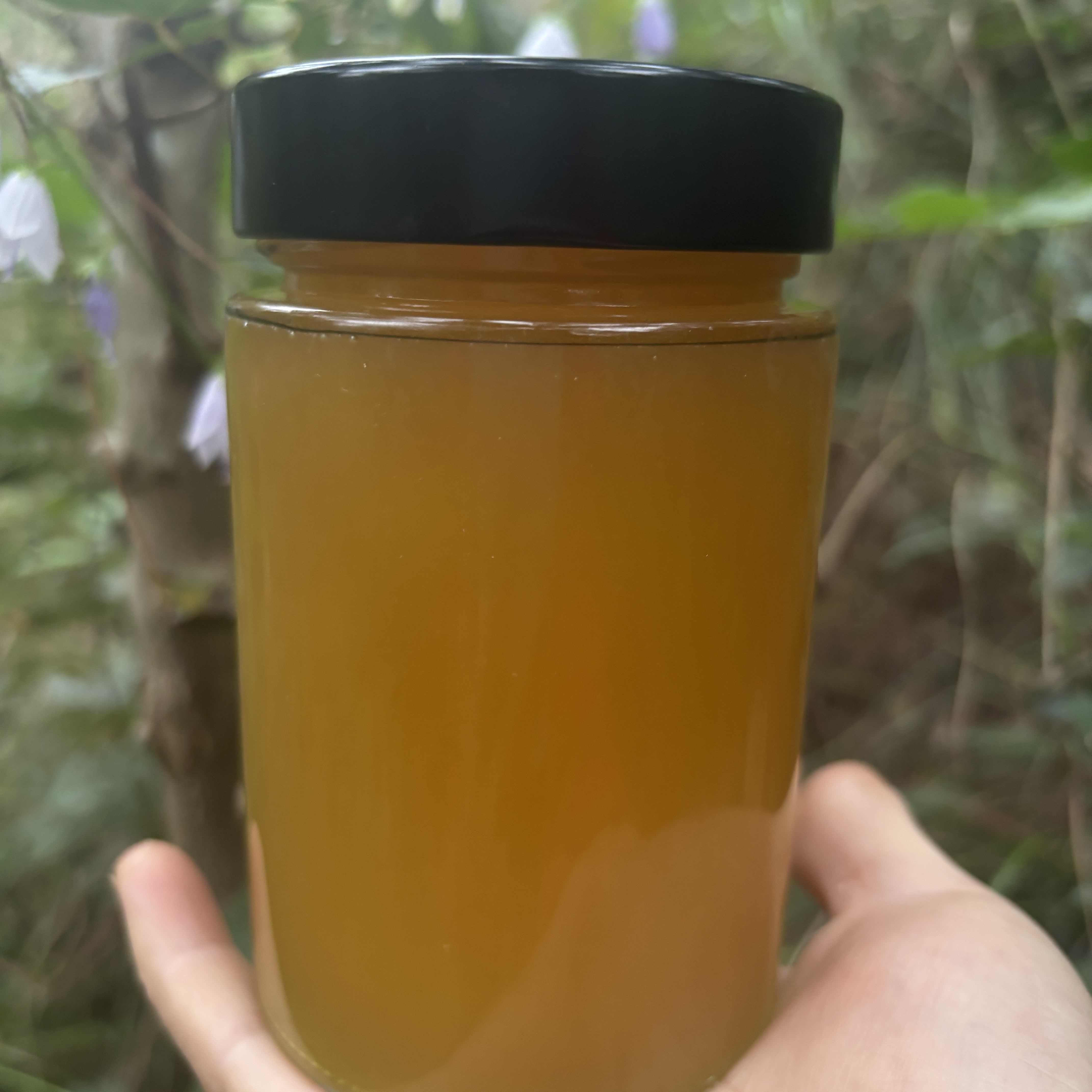 深山里自然成熟五倍子花蜂蜜～只卖懂蜜人