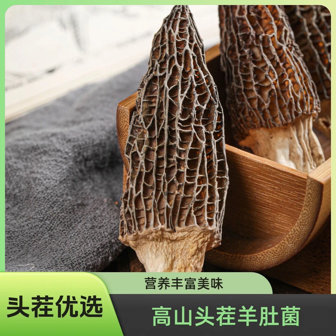 高山靓货羊肚菌精选干货鲜美煲汤食材蘑菇批发长度2-4cm-TZ