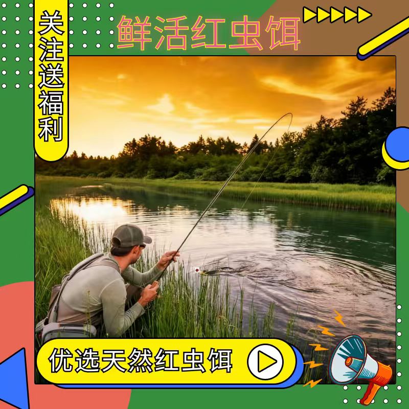 红虫活饵钓鱼饵活体秋冬野钓鲫鱼饵料喂鱼鱼食