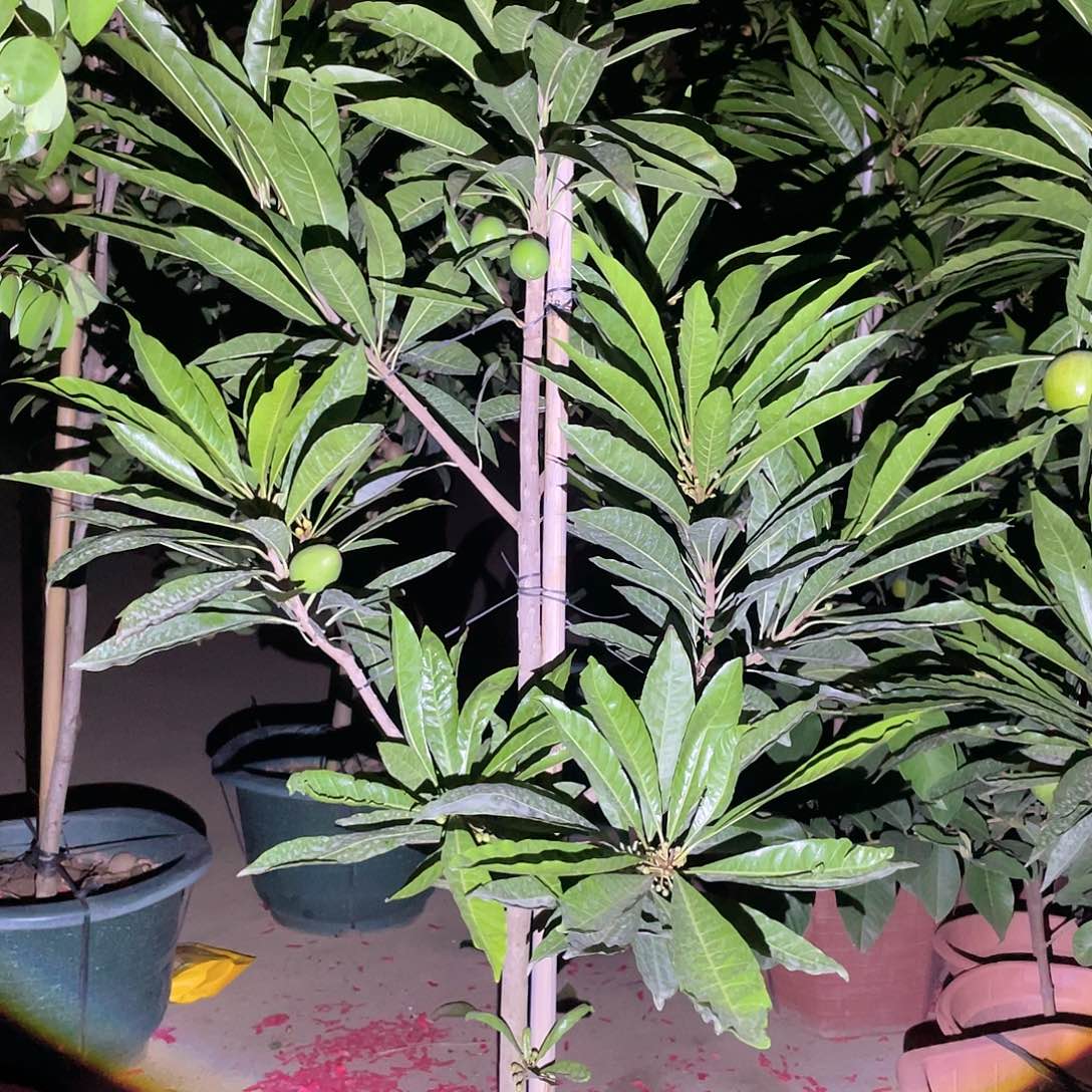 完全开放用****3g m 888888888