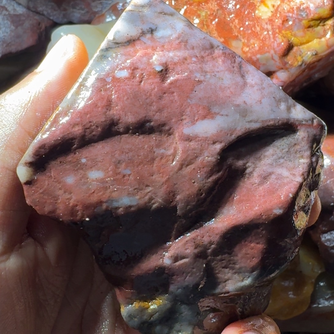 云***哥寿山石8998899888999