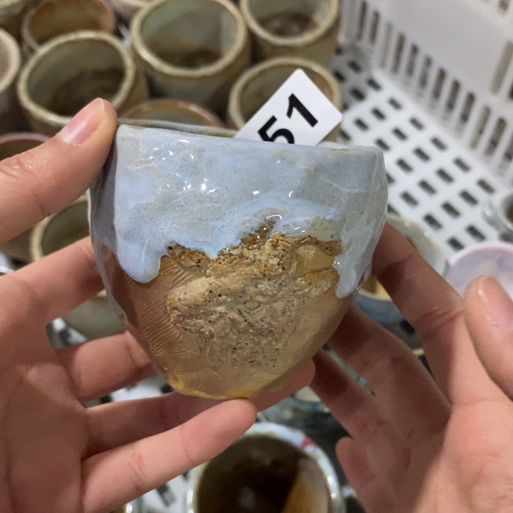 茶盏啦啦啦啦啦啦851