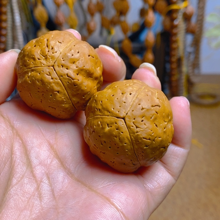 野生三瓣大金刚光头强3538