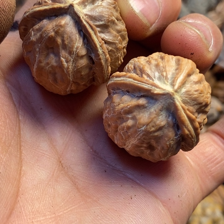 桃核吊坠东北特产3