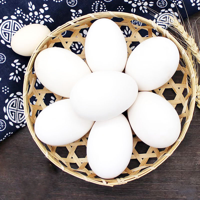 【坏蛋包赔】鹅蛋20枚新鲜散养农家土鹅蛋雁鹅蛋仔鹅蛋55