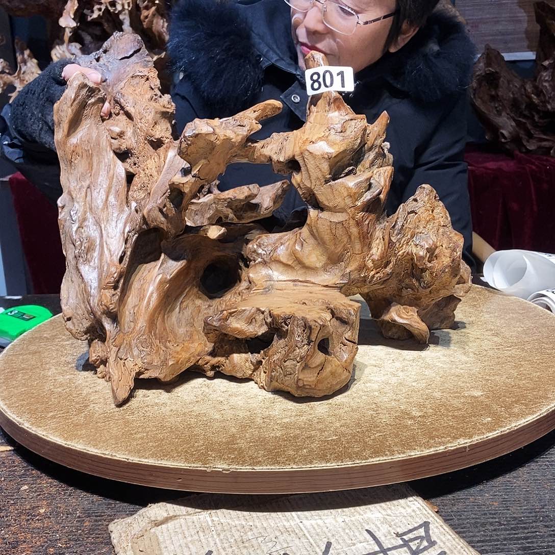 聪***明801。株木随行根艺