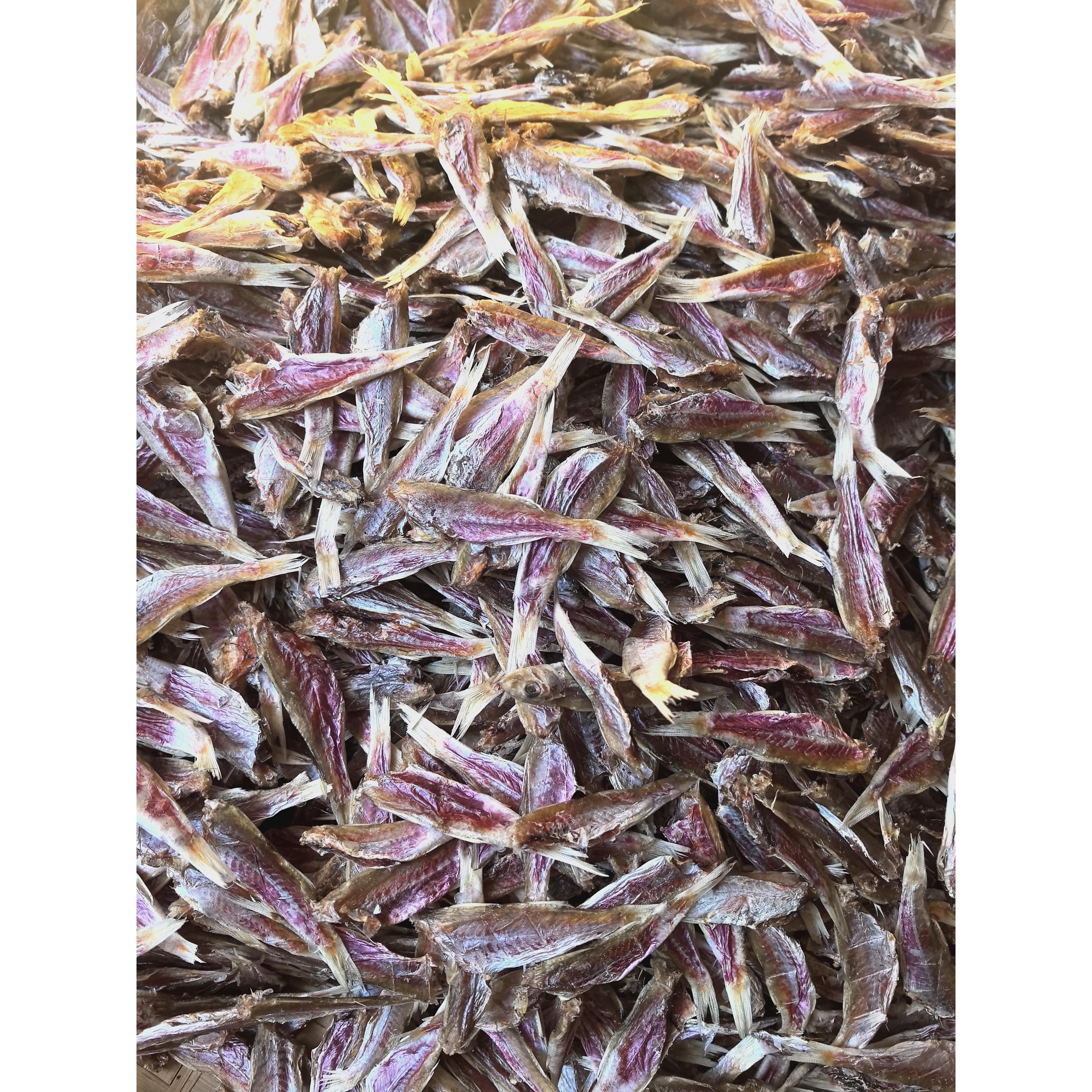 汕尾本港深海小红鱼干 渔民自晒微咸配粥下饭