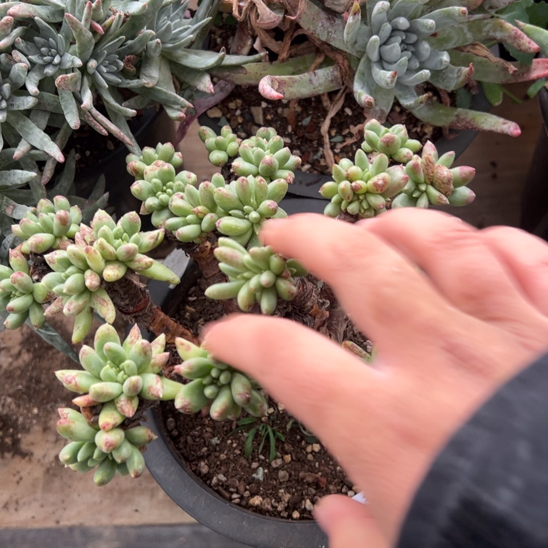 2878哈哈哈哈哈哈哈哈哈