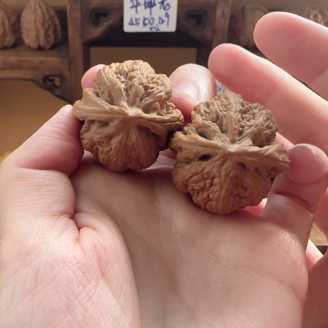 桃核手串全品大粗筋34