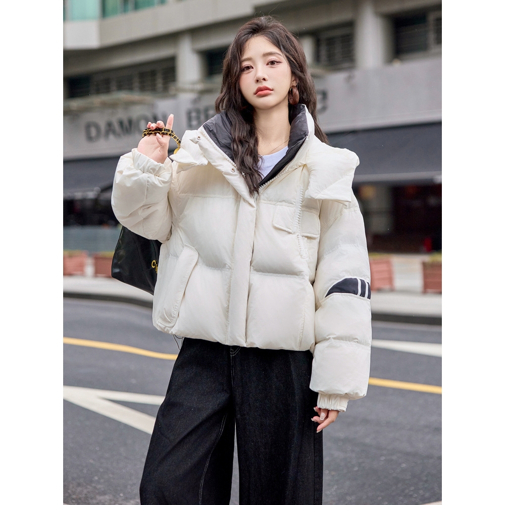 短款拼接常规常规款女士冬季百搭宽松女士鹅绒服8962