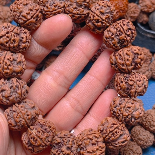 金刚菩提手串℡****行w083/22/5