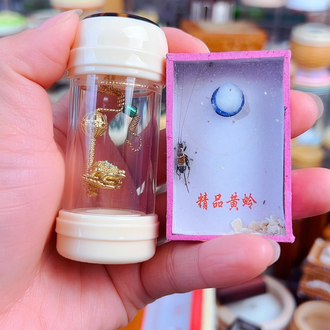 木掌中宝密胺竹蛉筒➕金蟾攀爬簧➕山仙子