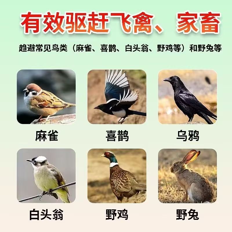 野外鸟食鸟粮五谷杂粮都可伴驱鸟避鸟