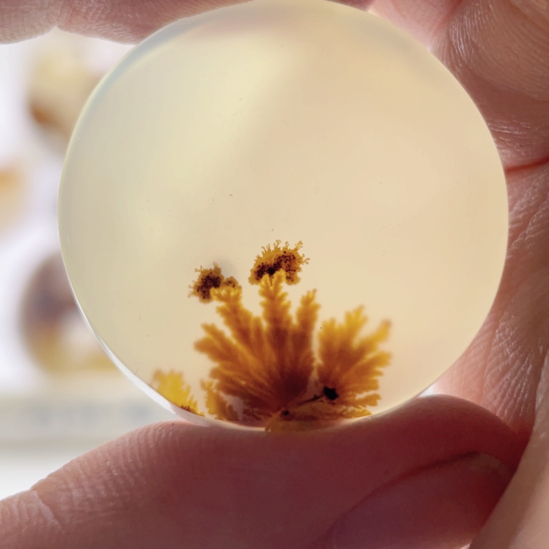 玛瑙/玉髓未镶嵌珠宝奇石