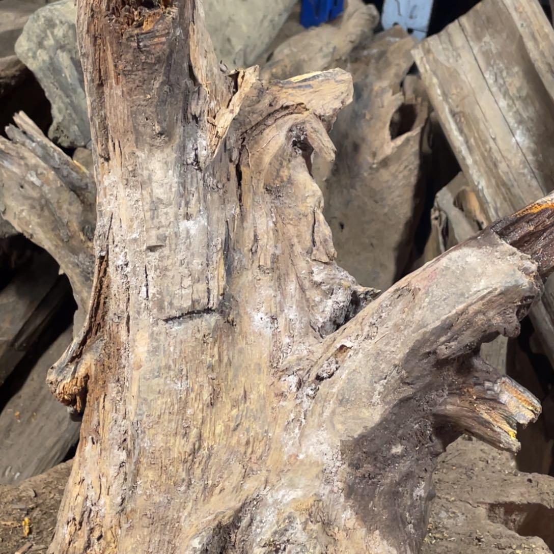 D***G贡木手串感谢大家