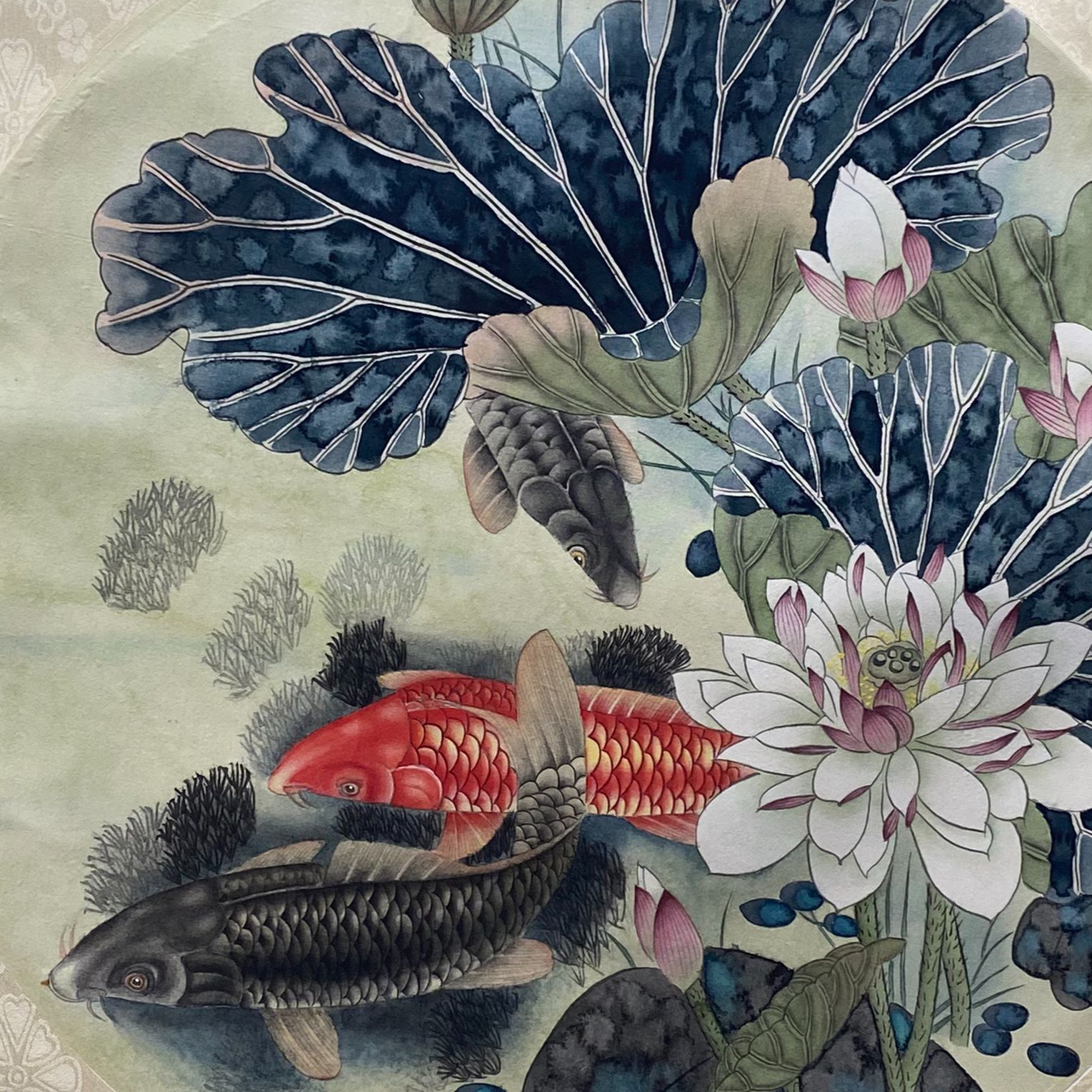 DY4108青霞 花鸟 绢本46*46 2248