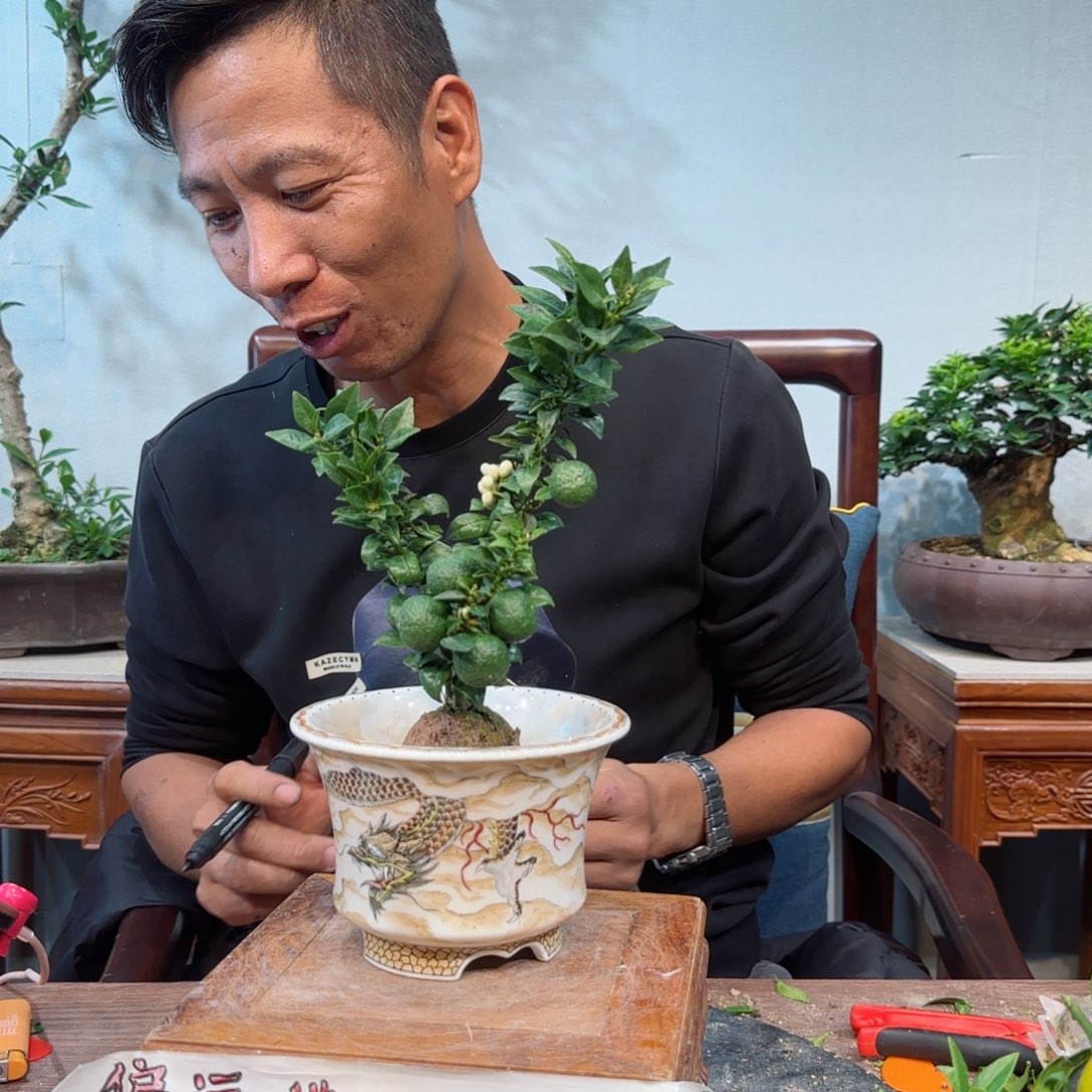 少量花朵（建议范围：2朵-5朵 或40%以下）温***湾