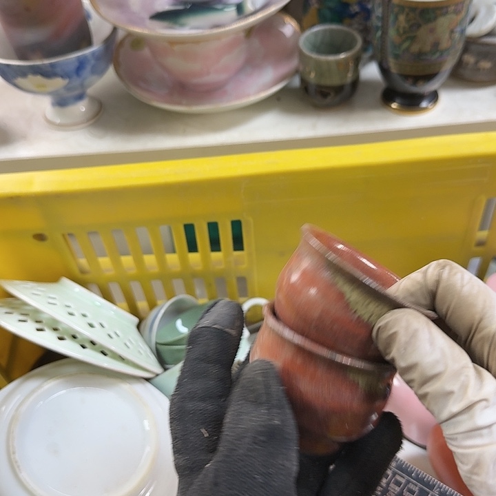 碗开播啦….开播啦