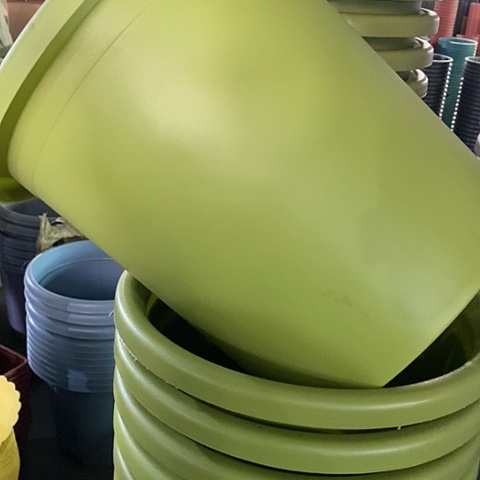 树脂四季7号果绿无托6个特价