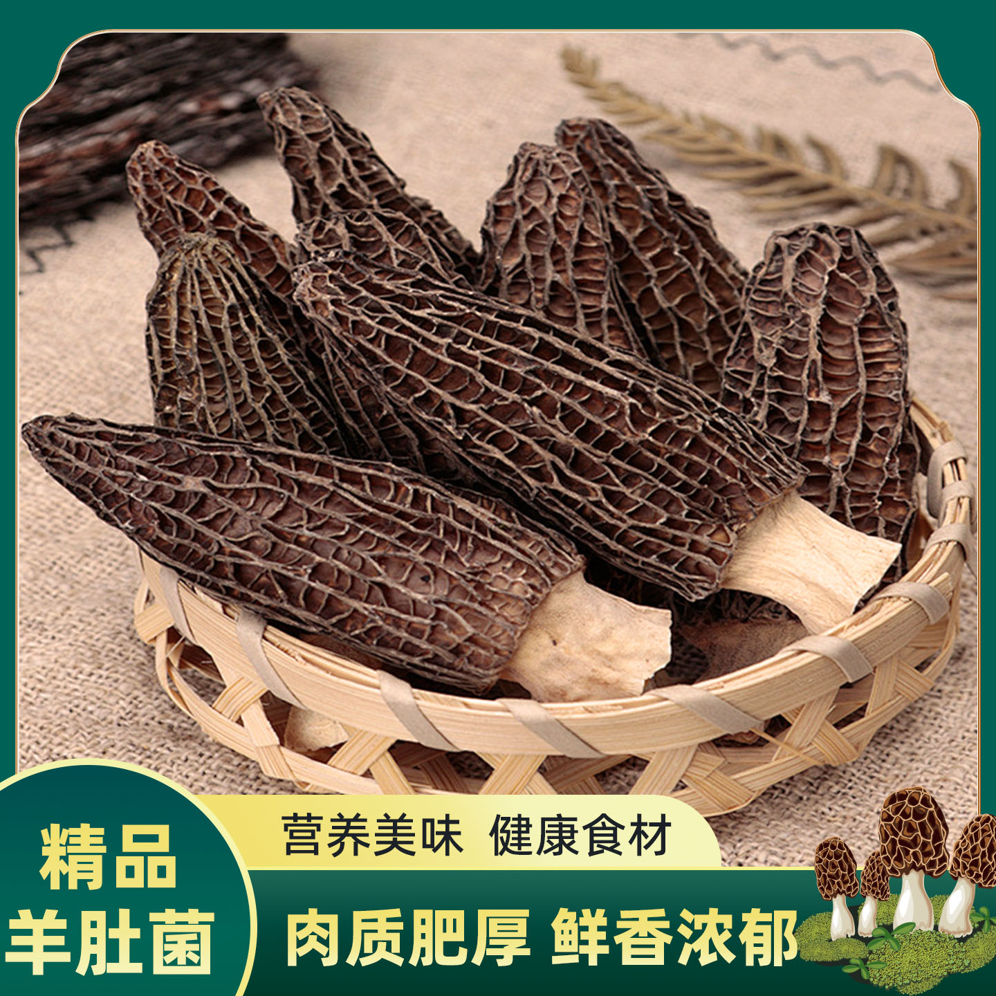 【产地优势】川西高山羊肚菌当季新品羊肚菌100克