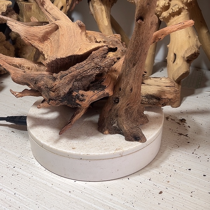 香榧木麻辣烫等食物都可以