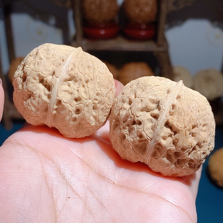 野生铁核桃龙胆绣球41