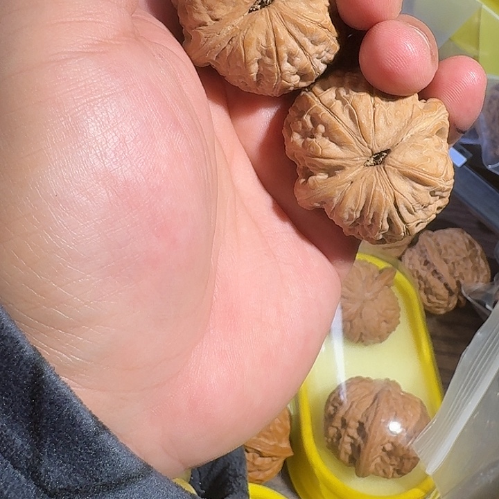 文玩核桃吊坠来*元宝