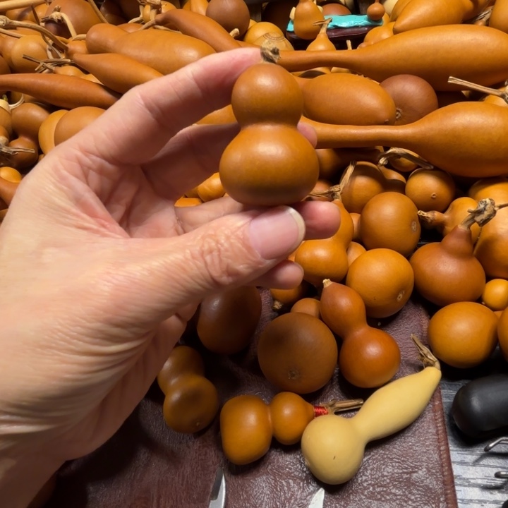 随**安随遇而安的一把纸皮葫芦一把纸皮葫芦