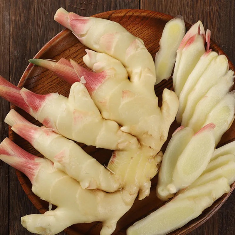 新鲜红芽嫩姜糖醋泡生鲜仔姜芽现挖当季脆嫩蔬菜糖醋泡生鲜大仔姜