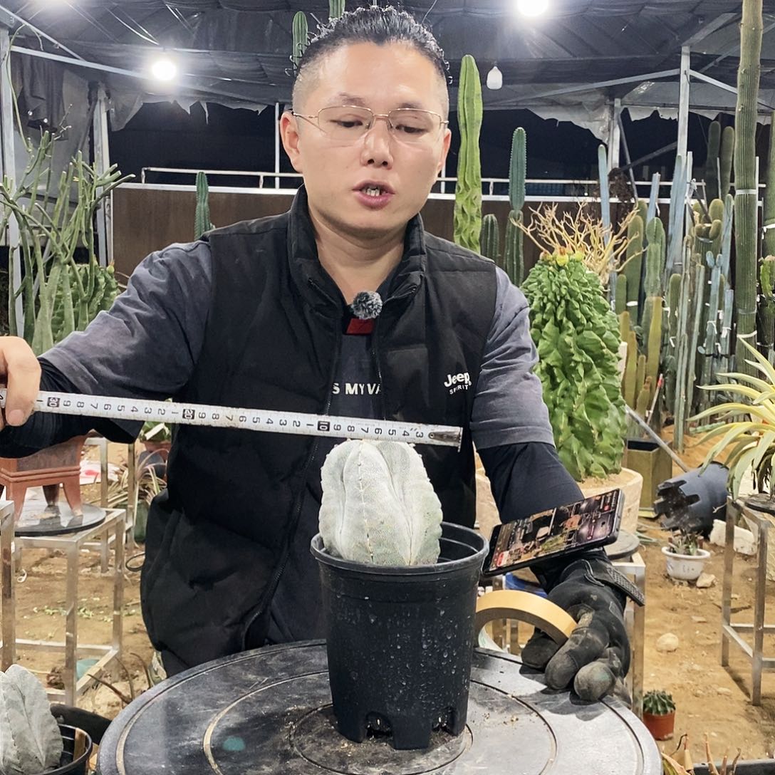 13号拍品。               