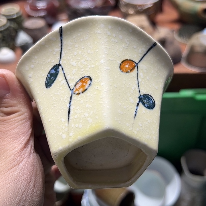 瓷片555555555555555