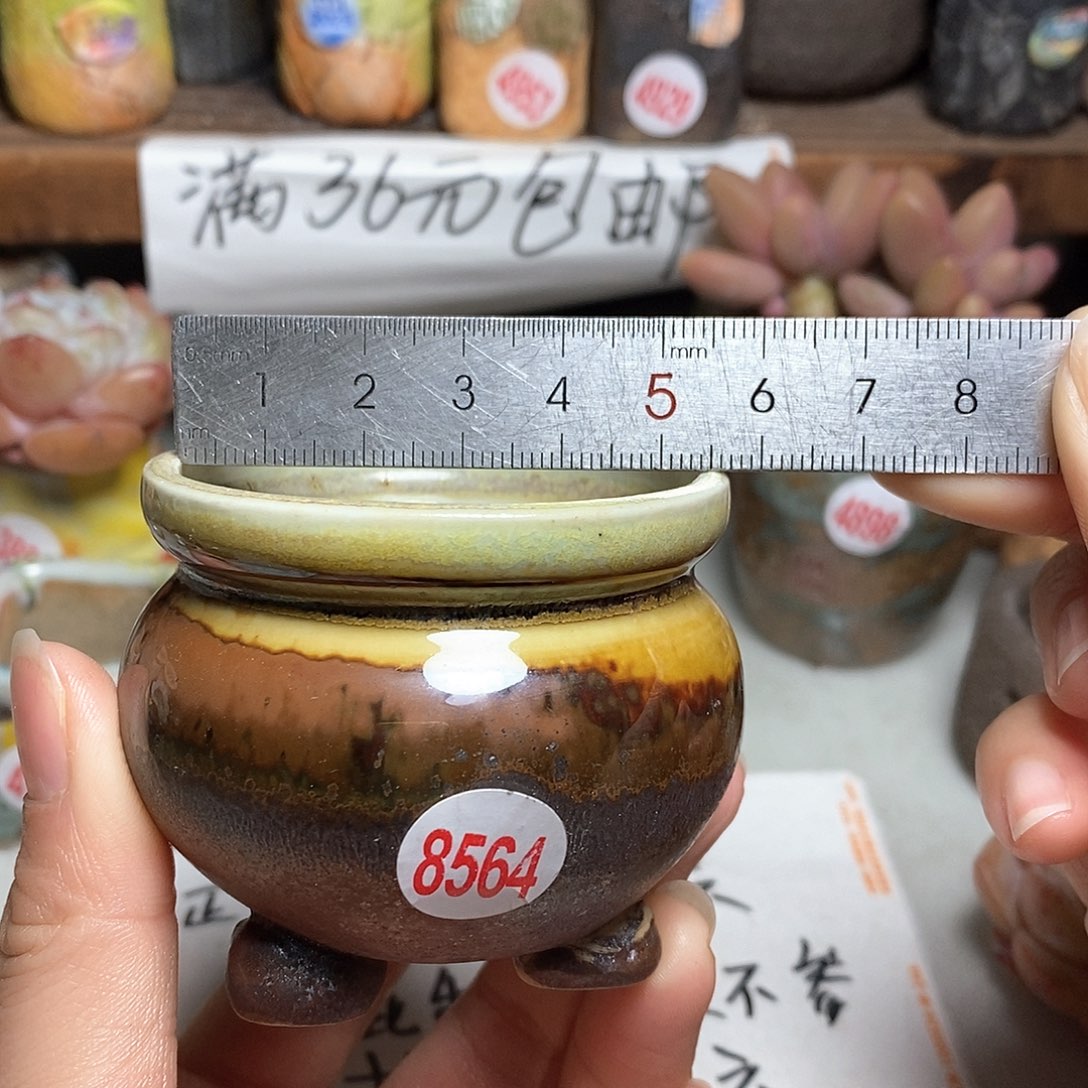 红陶拍5送一个小