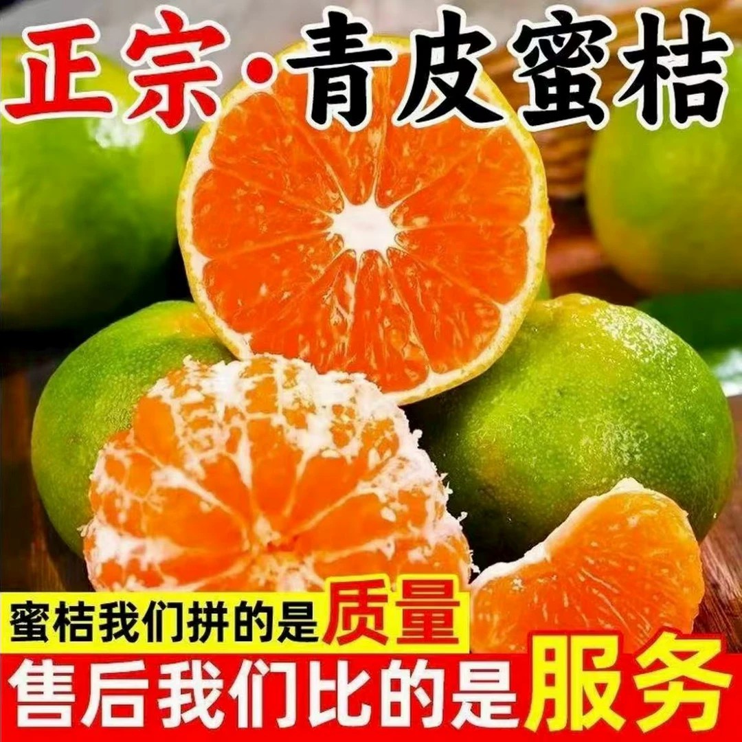 云南青皮蜜桔薄皮多汁爆汁酸甜应季现摘水果V1
