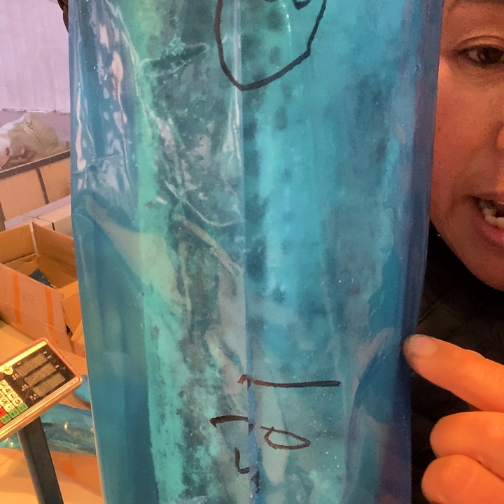 中国大陆渤海湾野生燕鲅鱼3号