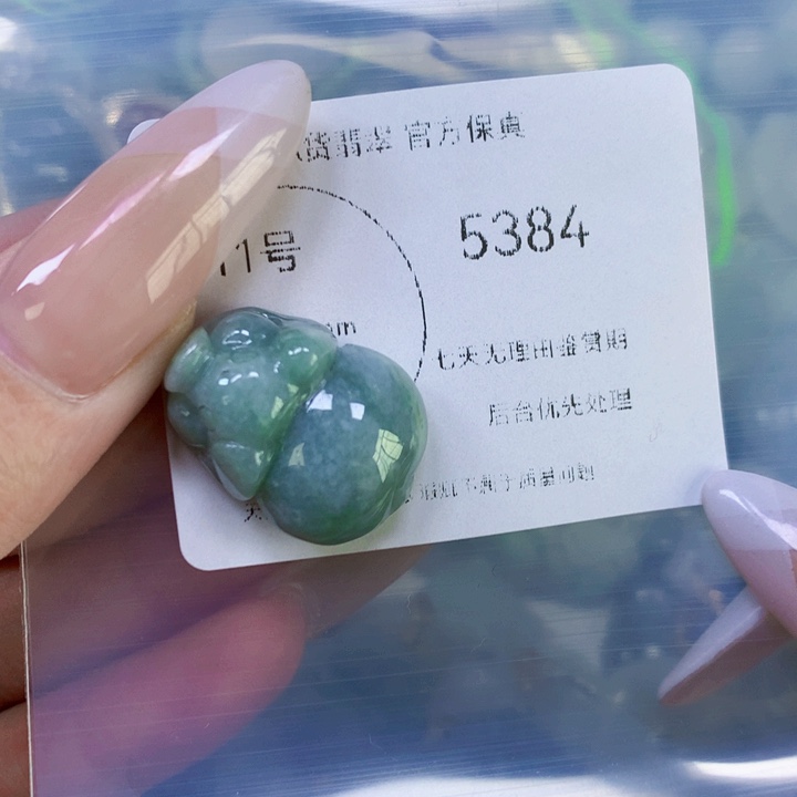 翡翠吊坠(赠链)未镶嵌翡翠