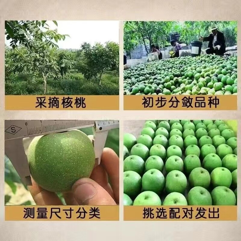文玩核桃青皮，大门+１９９３２５８６７０５