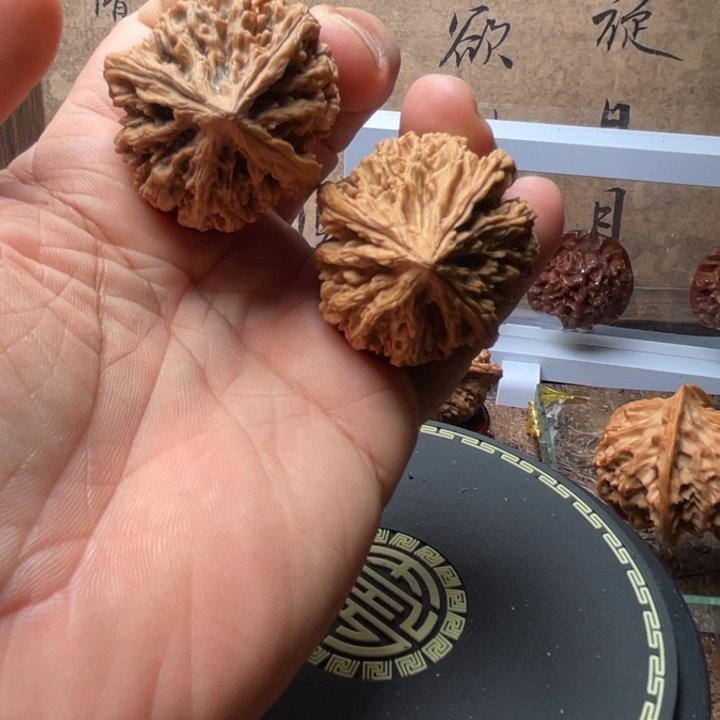 今日拍品分享180号