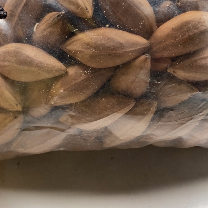 橄榄核手串/手链橄榄核雕