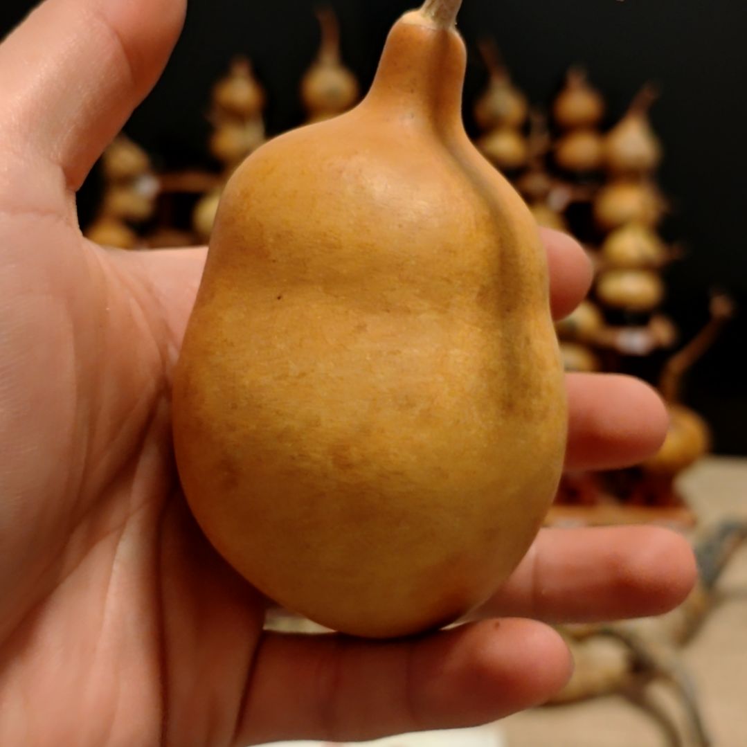 小***1直播间专拍葫芦葫芦