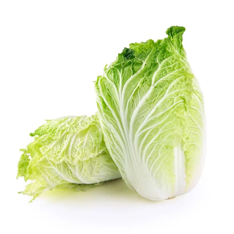 精选大白菜新鲜蔬菜农家自种当季新鲜蔬菜绿叶菜蘸酱菜清脆爽口菜大白菜