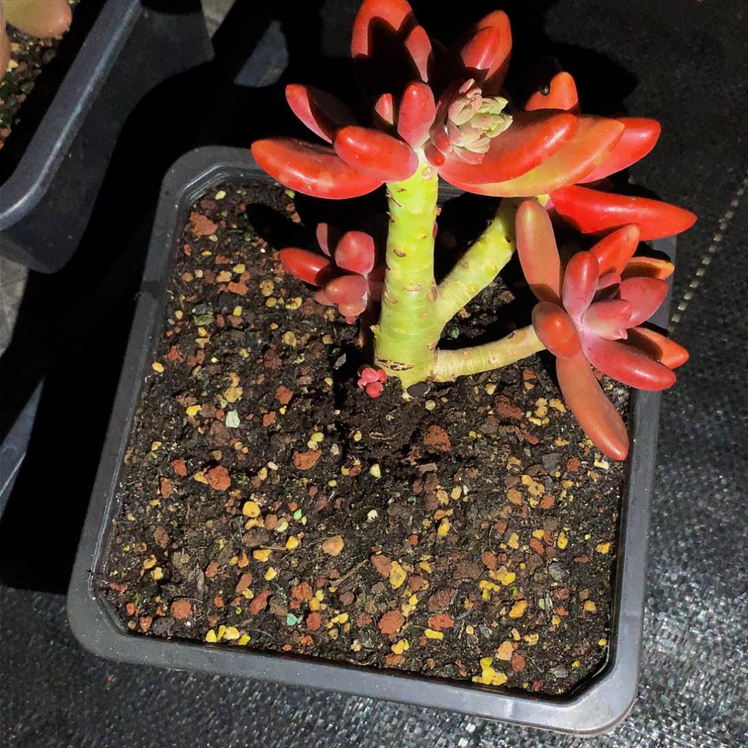 涂****制哈哈哈哈哈哈哈哈哈哈