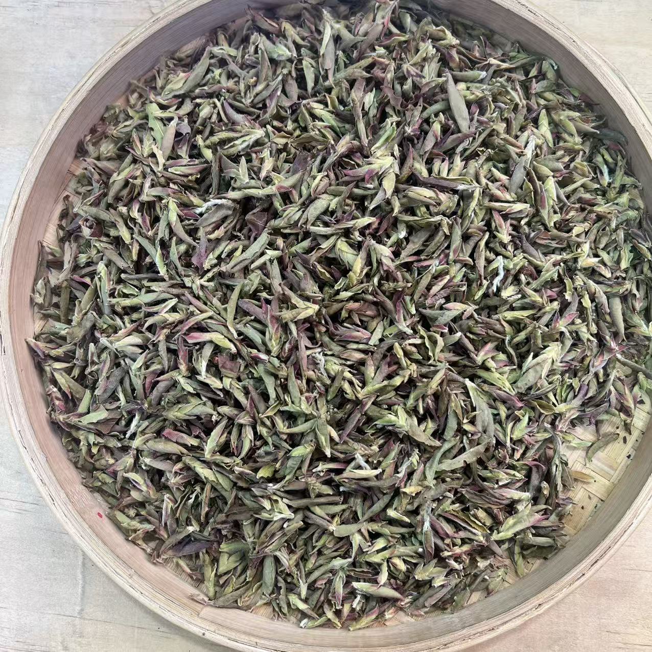 【12号】2025年风庆紫芽荒野 白茶 春100克/袋 12月7日【Q282号】