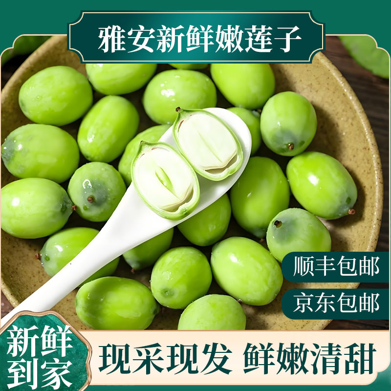 生态水果新鲜莲子现摘现发生吃清甜应季水果现摘顺丰特大号冷链