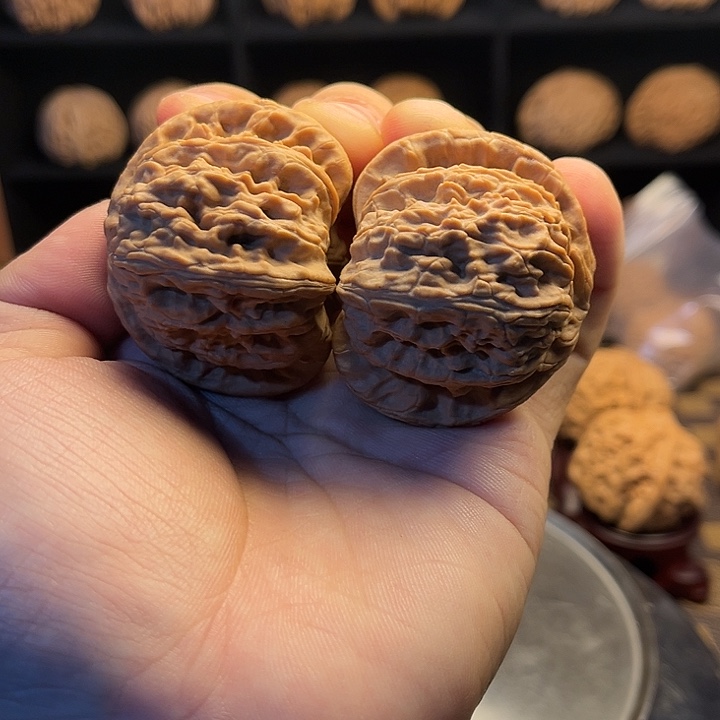 大***儿大叶紫檀（黑酸枝木类）