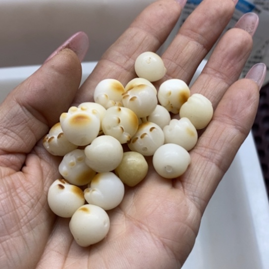 吊坠白玉菩提微瑕13猫爪60颗