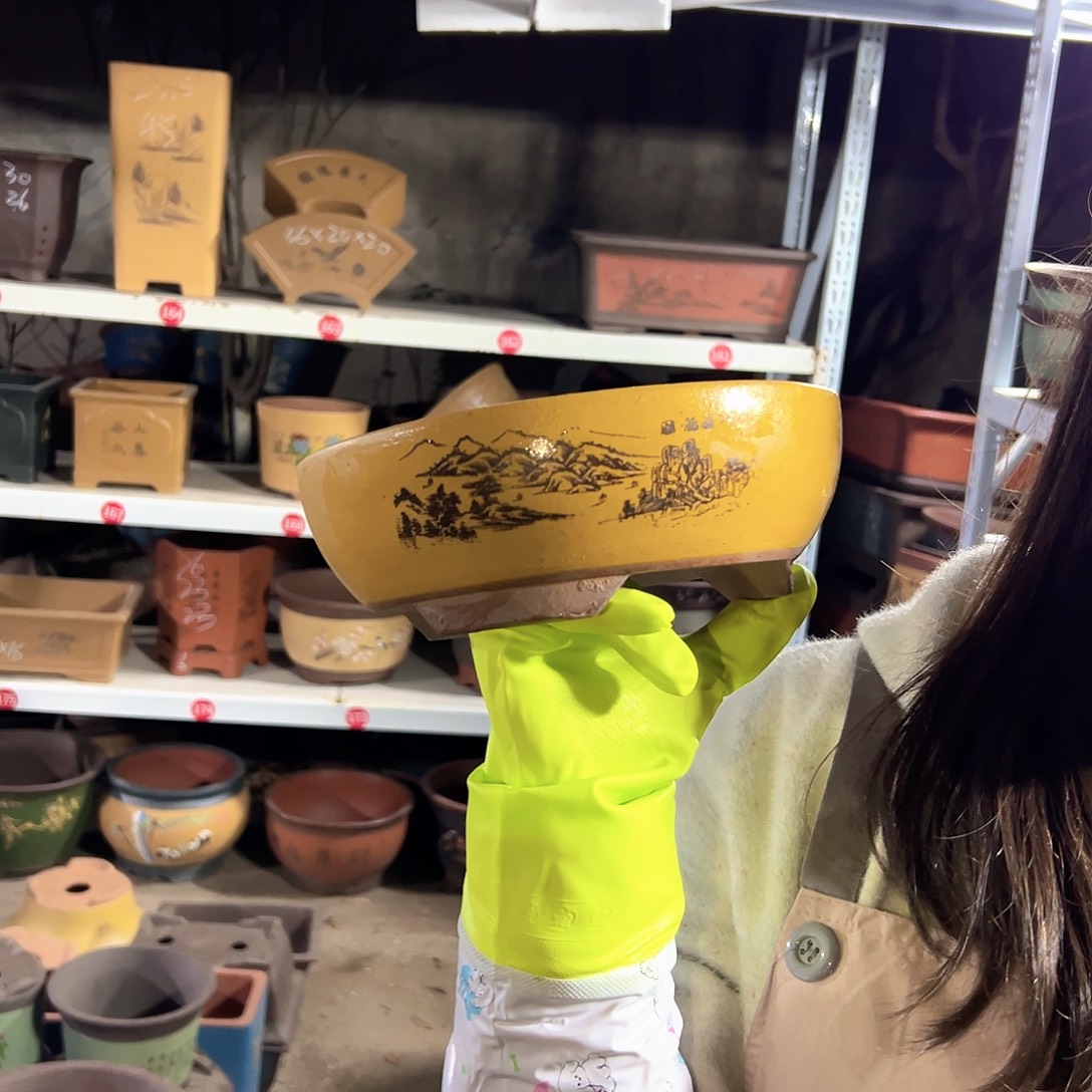 黄色江山如画小号一个花盆