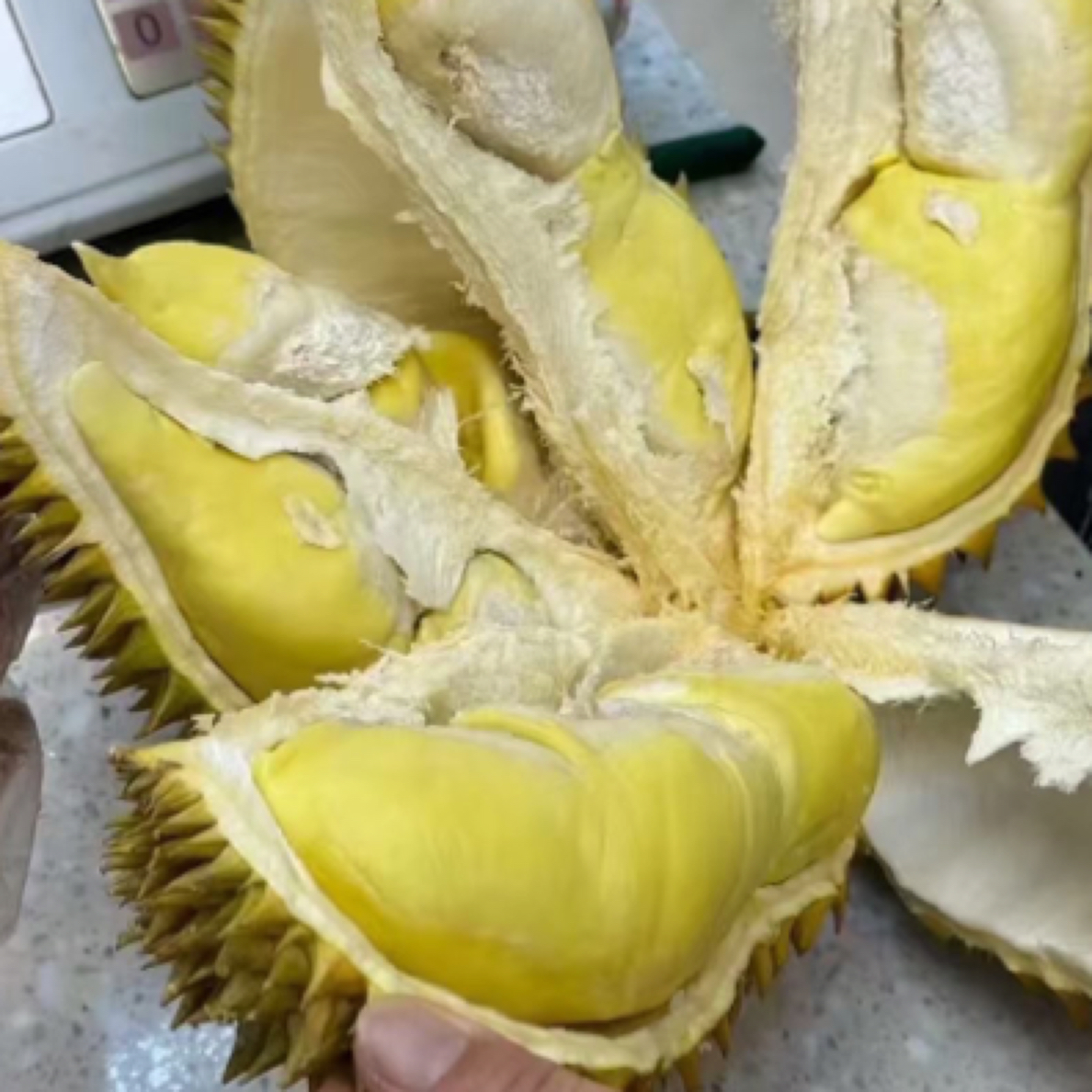 泰国金枕头新鲜榴莲3-6斤核小榴莲同城送榴莲同城送榴莲同城配金枕泰国