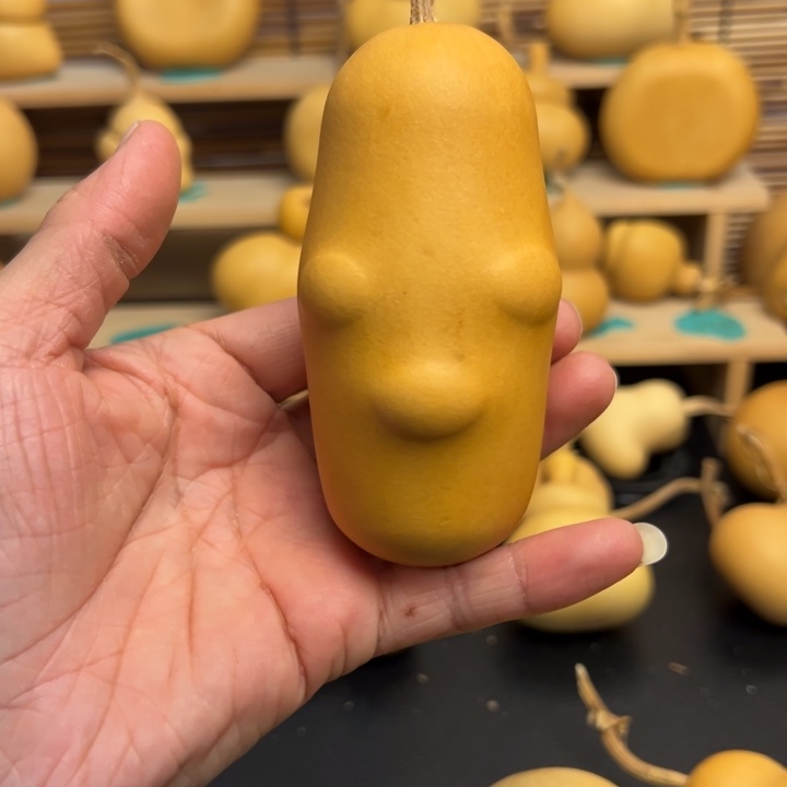 中***士葫芦葫芦葫芦葫芦葫芦葫芦